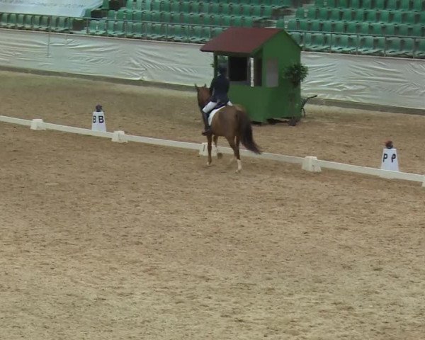Reitturnier Kreuth/Opf. 2019