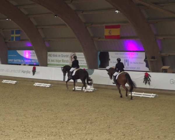 Reitturnier Essen-Stadtwald 2019