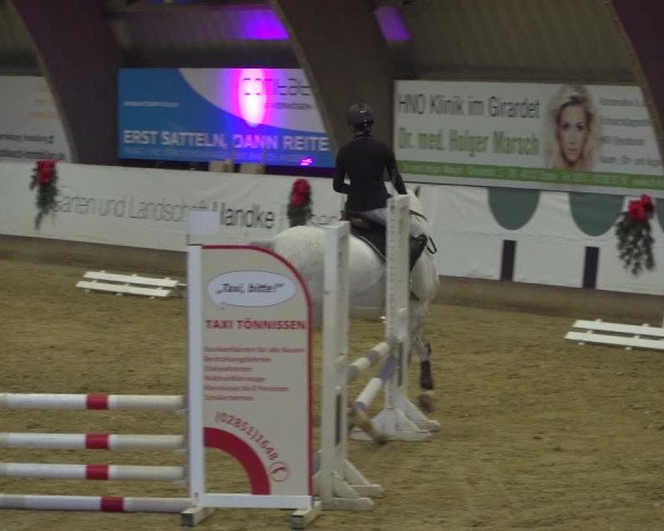 Reitturnier Essen-Stadtwald 2019