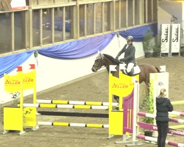 Reitturnier Sulgen 2019