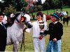 stallion Schwalmprinz (Welsh-Pony (Section B), 1991, from Sarnau Showman)