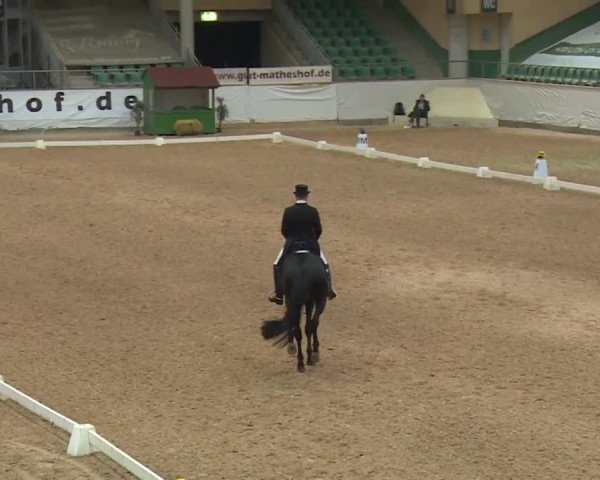 Reitturnier Kreuth/Opf. 2019