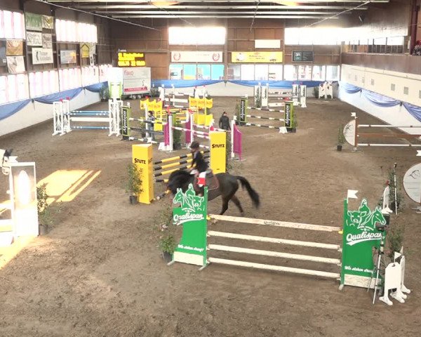 Reitturnier Sulgen 2019