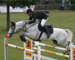 broodmare Artemis Z (Zangersheide riding horse, 2000, from Athlet II Z)