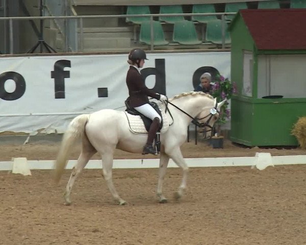 Reitturnier Kreuth/Opf. 2019