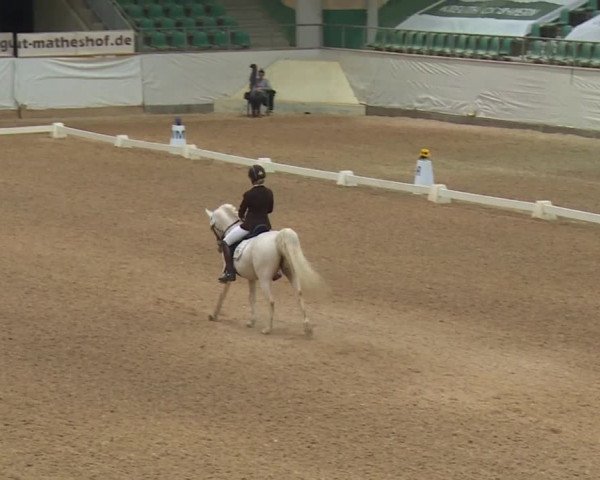 Reitturnier Kreuth/Opf. 2019