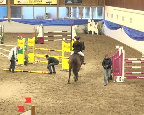 Reitturnier Sulgen 2019
