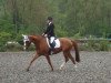 dressage horse Rapunzel 171 (Hanoverian, 2006, from Royal Blend)