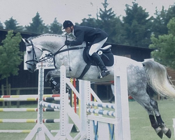 jumper Caitano 9 (Hanoverian, 1997, from Calido I)