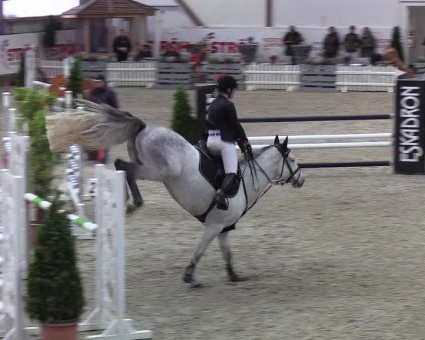 Nordic Jumping Events 2019