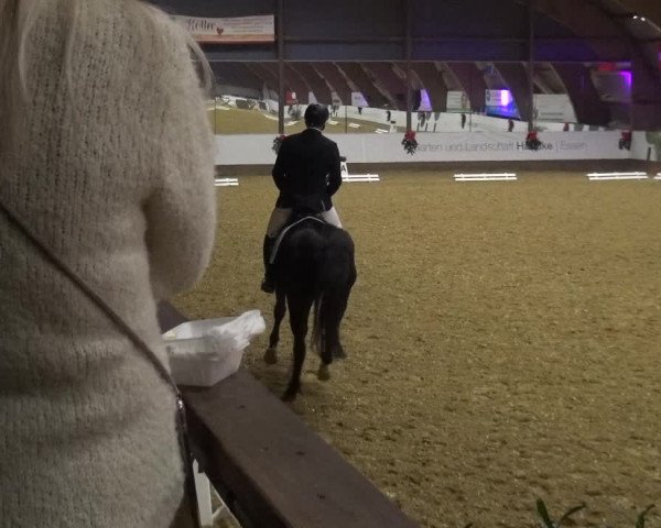 Reitturnier Essen-Stadtwald 2019