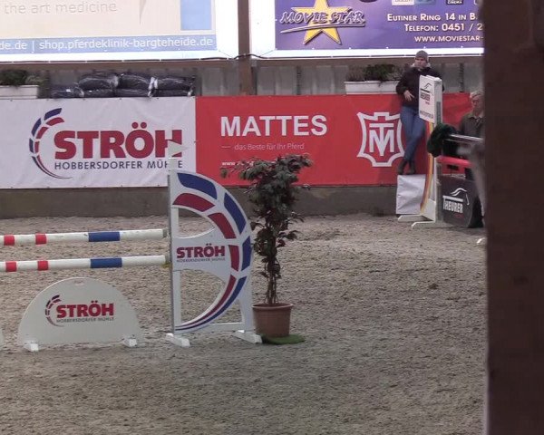 Nordic Jumping Events 2019