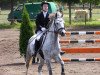 jumper DJosef (German Riding Pony, 2010, from Top Dubidu)