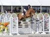 jumper Fedor (Belgian Warmblood, 2005, from Kashmir van't Schuttershof)