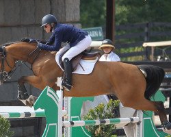 jumper Valinski S (KWPN (Royal Dutch Sporthorse), 2002, from Nijinski)