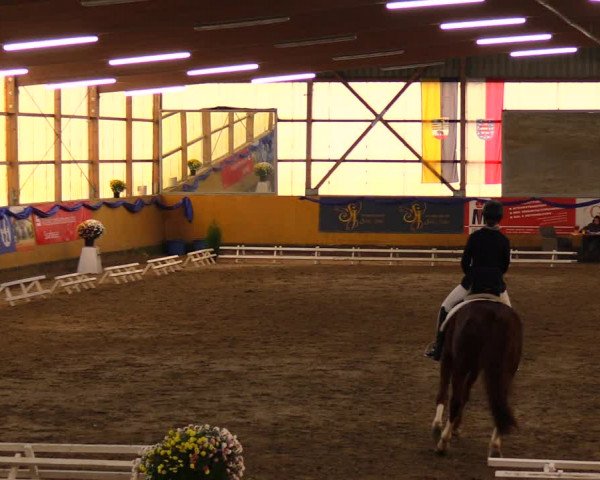 Reitturnier Pausin 2019