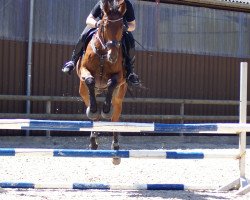 dressage horse Let's talk about Loui (Westphalian, 2009, from Laudabilis)