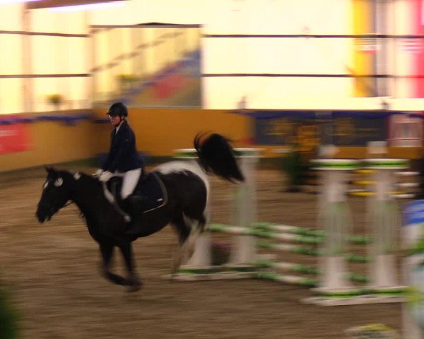 Reitturnier Pausin 2019
