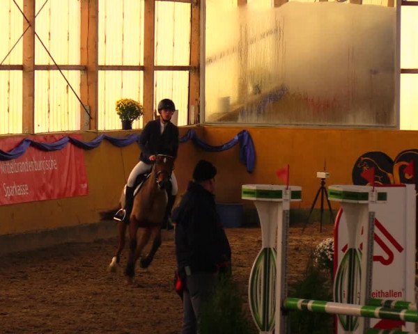 Reitturnier Pausin 2019