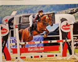 Springpferd Roxy ´R vom Renneberg (Deutsches Reitpony, 2016, von Calido G)