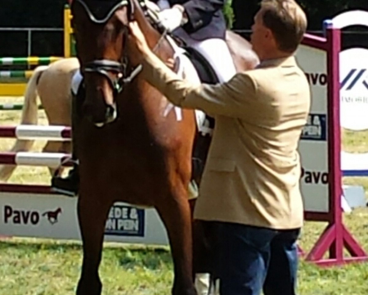 Dressurpferd Ceda (Holsteiner, 2010, von Aragorn W)