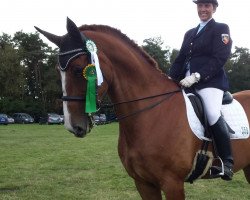 dressage horse Rooney 8 (Hanoverian, 2002, from Rotspon)