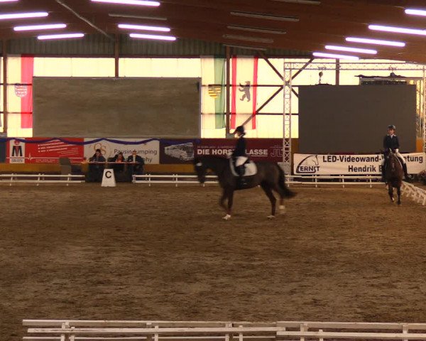 Reitturnier Pausin 2019
