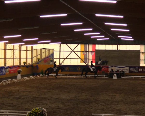 Reitturnier Pausin 2019