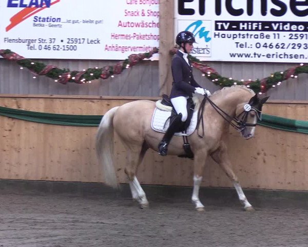 Reitturnier Leck 2019