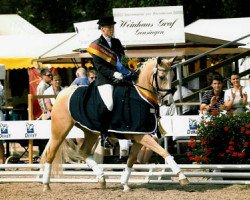 Zuchtstute Seven Mountain Derbyna (Deutsches Reitpony, 1998, von Derby)