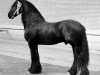 horse Peke 268 (Friese, 1977, from Bjinse 241)
