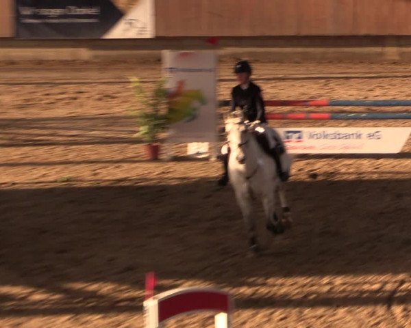Reitturnier Oelde 2019