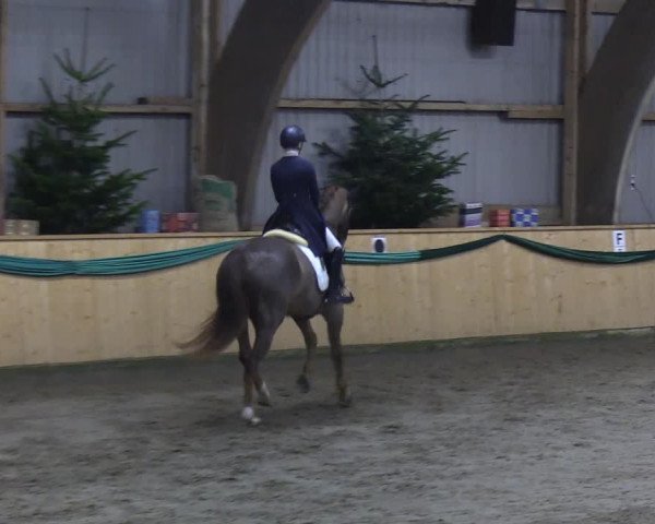 Reitturnier Leck 2019