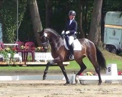 dressage horse Fürst Sandro 2 (Westphalian, 2012, from Fürst Wilhelm)