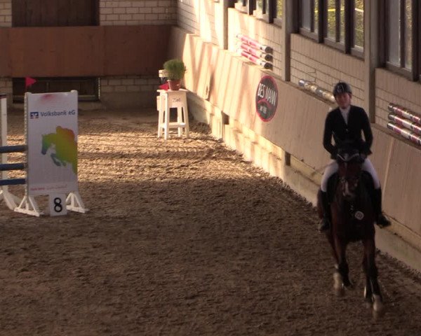Reitturnier Oelde 2019