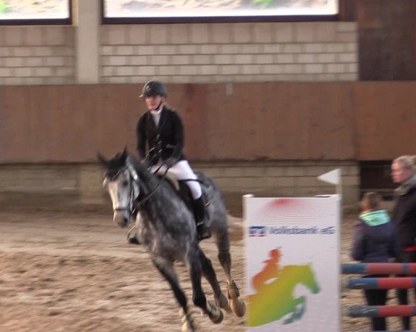Reitturnier Oelde 2019