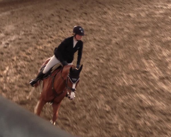 Reitturnier Oelde 2019