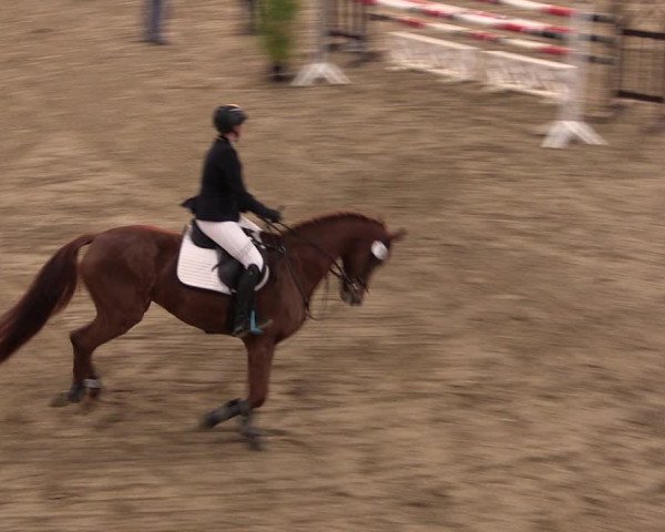 Reitturnier Oelde 2019