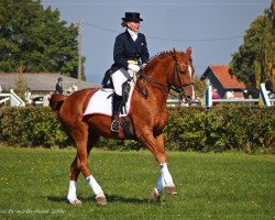 dressage horse Favorit 140 (unknown, 1992, from Fausts)