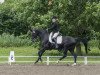 dressage horse Graf Danilo 2 (Hanoverian, 1999, from Graf Lehnsherr)