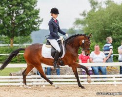 Zuchtstute Daireen SD (Deutsches Reitpony, 2011, von Dream of Lord)