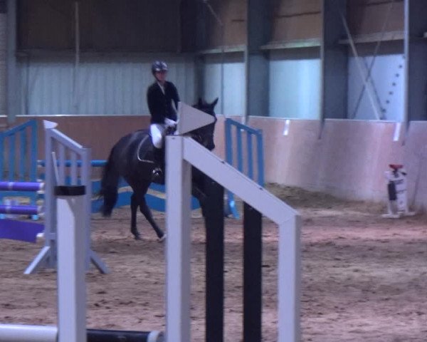 Reitturnier Troisdorf - Haus Rott 2019