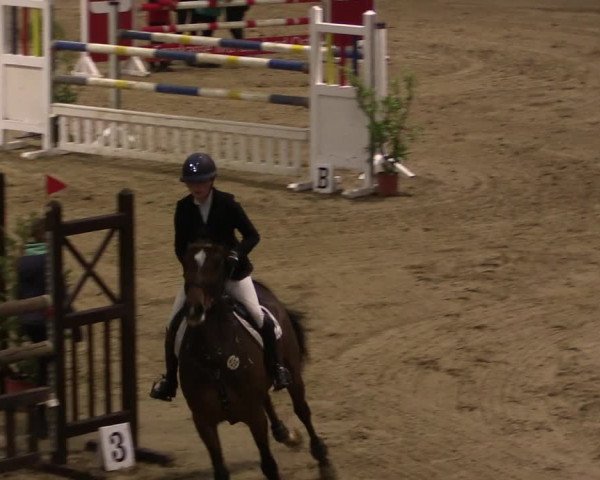 Reitturnier Oelde 2019