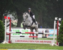 jumper Charming Teddy (Polish Warmblood, 2005, from Cassino)