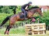 broodmare Baluba 3 (German Riding Pony, 2006, from Contus)