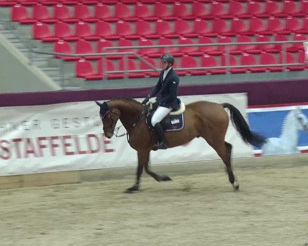 Reitturnier Neustadt/Dosse 2019