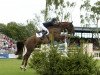 jumper A Touch Imperious (Irish Sport Horse, 2004, from Touchdown)