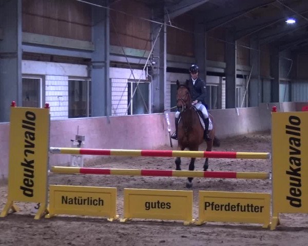 Reitturnier Troisdorf - Haus Rott 2019