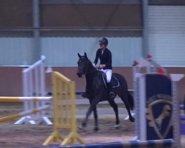 Reitturnier Troisdorf - Haus Rott 2019