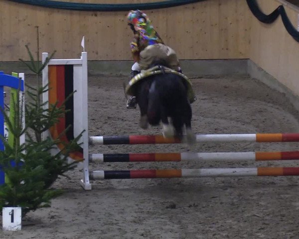 Reitturnier Leck 2019